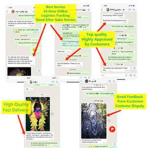 Vente en gros de <span class=keywords><strong>plumes</strong></span> <span class=keywords><strong>d</strong></span>'<span class=keywords><strong>autruche</strong></span> blanches de 55 à <span class=keywords><strong>60</strong></span> <span class=keywords><strong>cm</strong></span> pour les costumes de carnaval <span class=keywords><strong>d</strong></span>écoration de fête de mariage Plumas - Product Image 6