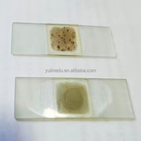 12Pcs Rock Prepared Microscope Slides Igneous Metamorphic Rock Thin Section Specimen Slides Geology Teaching Specimens