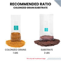 Sacs de culture de champignons en millet biologique, résistants aux hautes températures, avec filtre de 0,2 micron, patch filtrant stérilisé en plastique pour champignons