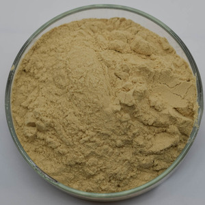 EpinBio Livraison Gratuite Améliorateurs Nutritionnels Levure-Zinc Prix - Product Image 1