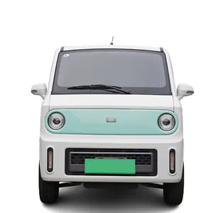 Removable Co-Pilot Mini Electric Van More Durable Battery Passenger Grade Safety Body Vehicle Electric Car For Adults