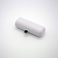 Batterie externe jetable 1200 mAh Li-Polymère à charge rapide Type-C 5W Ultra Mince Portable Logo Personnalisé Haute Performance
