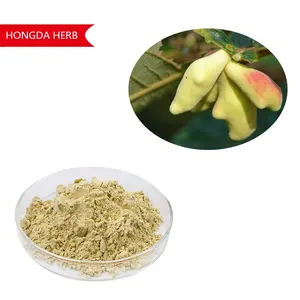 HONGDA Gallic Extract 92% 98% Harga Asam Gallic