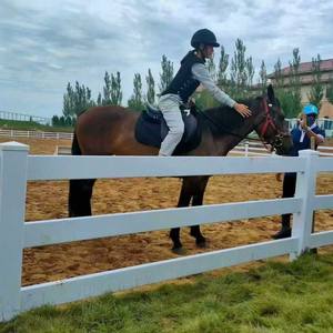 Valla para Caballos de PVC con Aislamiento Eléctrico - 6 Pies de Altura, Segura para Manejadores, Previene Riesgos de Descarga Eléctrica para Ranchos, Obras de Construcción, Modelado 3D - Product Image 6