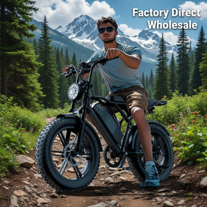 Factory Wholesale Hybrid Ebike 250W 48V 15AH 20x4.0 Disc Brake Snow Fat Tire Electric Bike in Stock Adults Electric Bicycle - Product Image 1