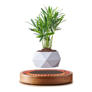 Maceta Magnética Levitante con Base de Plástico y Luz, Decoración Ecológica Art Deco para Hogar/Mesa, Regalo para Bodas y Diwali - Product Image 3