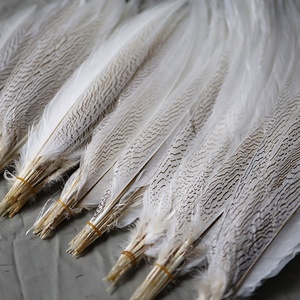 Vente en gros de plumes de faisan argenté de 15 à 80 cm, plumes de faisan blanc pour costumes de <span class=keywords><strong>carnaval</strong></span>, décoration de performance de samba - Product Image 3