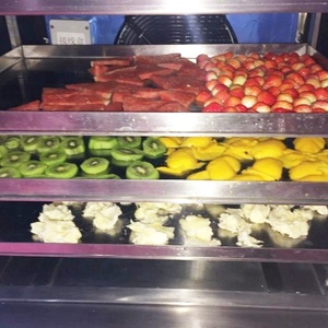 Venta directa de fábrica barato Casa de vacío de <span class=keywords><strong>alimentos</strong></span> congelación Máquina secadora - Product Image 5