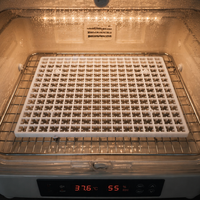 Plateau à œufs de grande taille pour 176 œufs de poule, plateau à œufs en plastique pour incubateur industriel, pièces détachées pour l'élevage avicole