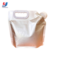 Sac à vin en feuille d'aluminium robuste réutilisable avec logo personnalisé à prix compétitif avec trou à main et valve à vin pour le stockage de soda