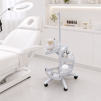 Support de lampe loupe de salon de beauté moderne compatible SMY Source de lumière LED avec corps en fer et en plastique avec conception de plateau