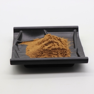 100% 天然有機Euphrasia Officinalisエキス99% アイブライトハーブビルベリーリーフエキス粉末 - Product Image 1