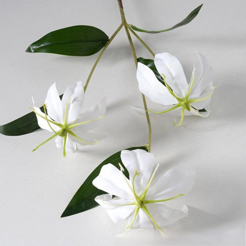 Lys flamme blanc
