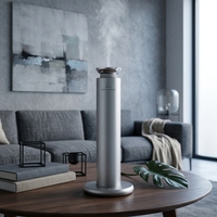 Diffuseur d'arômes en métal contrôlé par application, 100 ml, alimenté par USB, fonctionnement silencieux à 35 dB, parfum longue durée, utilisation hôtelière, entièrement certifié