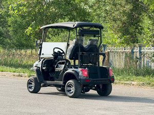 Nuevo Producto Más Vendido, Carrito de Golf de 2 Plazas, Scooter de Golf, Carrito de Golf para Adultos, Carrito de Golf Económico de 2 Plazas, Tipo Básico, 3.5k, 2 Plazas, B - Product Image 3