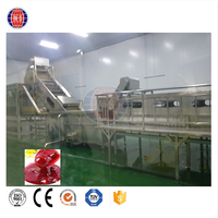 Ligne de production de pâte de tomate prix usine Machine à sauce tomate à haute productivité Ligne de production de concentré de tomate
