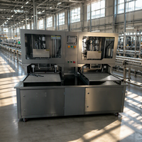 Machine de remplissage semi-automatique à double tête pour sachets BIB aseptiques, pièces humides en acier inoxydable 304 pour œufs liquides
