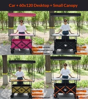 Chariot pliant d'extérieur personnalisé à roues larges, chariot de jardin, chariot de plage, chariot de camping avec pare-soleil amovible, poussette-chariot