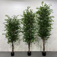 Arbre artificiel Ficus variegatus, plante artificielle Banyan variegata avec feuillage à bords blancs pour intérieur, maison, bureau, plusieurs tailles