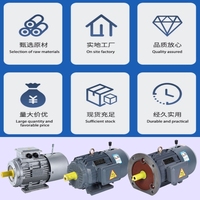 Moteur de freinage électromagnétique asynchrone triphasé YEJ 0,12 kW-45 kW 50/60 Hz IP54/IP55
