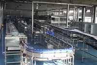 Machine de remplissage et de scellage automatique, pour l'eau minérale en plastique, ligne de Production d'eau minérale, excellent pour les animaux domestiques