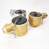 Adaptateur externe standard en laiton BS336 de 2,5 pouces, filetage mâle BS, raccord rapide pour tuyau d'incendie, bouche d'ince