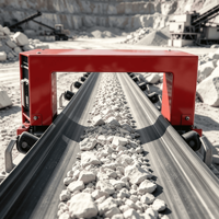 Détecteur de métaux industriel pour convoyeur minier, haute précision, IP54, type tunnel, protection du concasseur, OEM