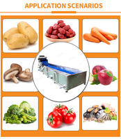Industriële Automatische Sla Salade Verwerking Lijn Groente En Fruit Wassen Cleaning Machine