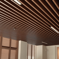 Panel de Techo Lineal Suspendido de Aluminio con Forma de Arco, Absorbente de Sonido, Ignífugo, para Edificios Comerciales y Centros Comerciales