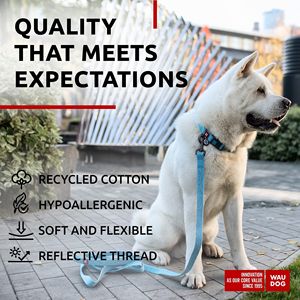 Collar de perro de algodón reflectante azul DB, nailon alternativo de lujo ecológico para perros pequeños, medianos y grandes, cuello de 14-23 pulgadas, 1 pulgada - Product Image 4