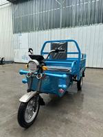 Mini-Rickshaw Électrique Nouveau Style Certifié CE, Moto à 3 Roues avec Carrosserie Ouverte, Tension 60V, pour Passagers Adultes et Marchandises