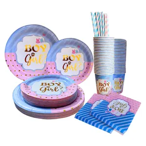 Gender Reveal Party Decorations Pink Blue Boys Girls Paper Plates Napkins Straws Cups Kids Baby Shower Tableware Set