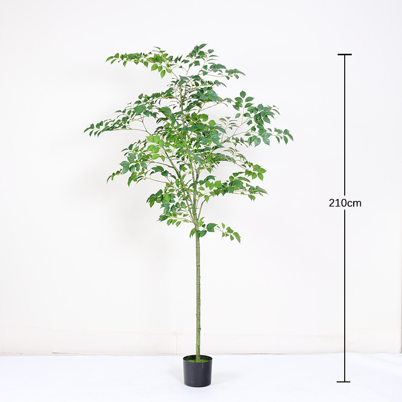 210cm