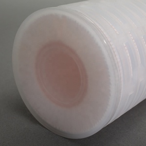 5 inch vô trùng PES Junior Lọc <span class=keywords><strong>Cartridge</strong></span> kosma Lọc 0.1μm cho công nghệ sinh học lớp lọc với hơi nước khử trùng 135 ° C - Product Image 4