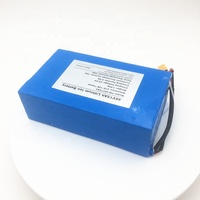 Аккумуляторная батарея для электрических велосипедов/скутеров, PM-48V 7 А/ч, 54,6 В