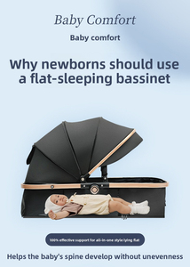 Poussette panoramique 3-en-1 avec grandes roues, siège réversible, position assise à couchée, système de voyage et capote pour bébé et tout-petit - Product Image 2