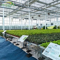 Système hydroponique polyvalent en métal écologique, serre couverte de verre, ensemble complet pour la culture de légumes agricoles