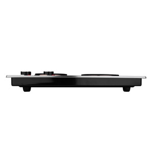 DSP Dual-Head Electric <b>Stove</b> 315x500mm Built-In Commercial Cooktop Two Burners Stir Fry Steam Boil - Product Image 2