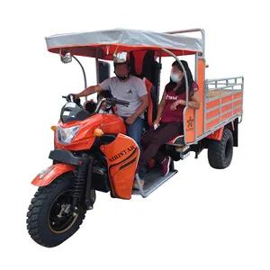 2023 New Cheap 3 Wheel Gasolina Cargo Motocicleta Triciclo Para Produto Adulto