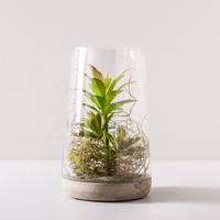 Terrarium des œufs en verre transparent d'intérieur, avec base en ciment, de haute qualité, vente en gros