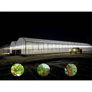 Lớn thiết bị nông nghiệp Polycarbonate sunroom nhà kính vườn đường hầm với PC tấm bìa cho nông nghiệp - Product Image 5