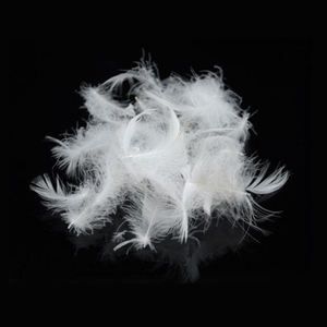 Pluma de plumón de alta calidad, de Vietnam - Product Image 2