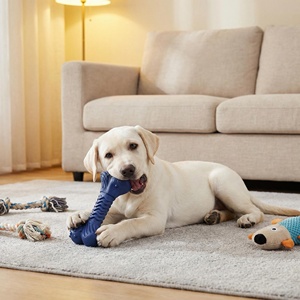 Huesos de Goma Natural Resistentes y Duraderos para Perros Mordedores Agresivos, con Sabor a Carne, Diseño Nuevo y Personalizado - Product Image 6