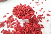 Bulk Premium Grade B Zoete Gedroogde Gojibessen 580 stuks/50g voor Theebedrijven