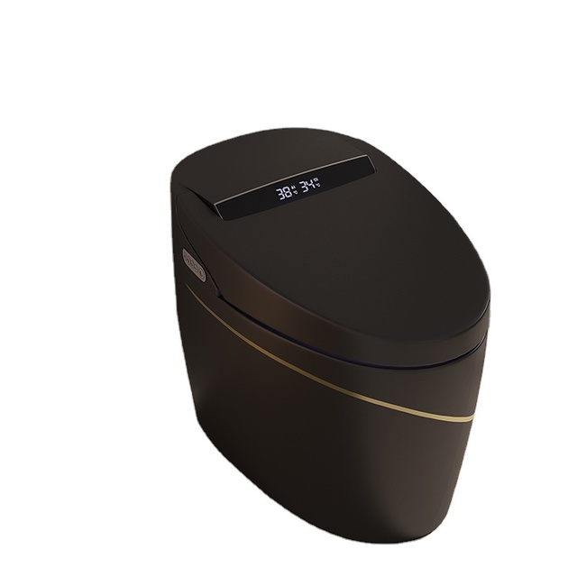 Best-Selling Smart Toilet Intelligent Voice Control New Design Automatic One-Piece P-Trap Bidet Black-Gold Remote Control