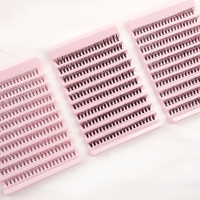 Baru untuk Bulu Mata Palsu Sintetis Mewah Buatan Tangan C D untuk Segmen DIY Cluster Lashes 12 Baris Hitam Private Label Extension Kit