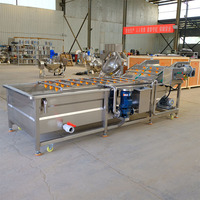 Hogesnelheids-bubbelreinigingsmachine voor het wassen van vers fruit en bessen