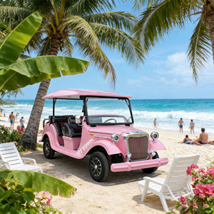 Automóvil clásico eléctrico de lujo retro de alta gama, ideal para el transporte de huéspedes en hoteles y resorts. - Product Image 1