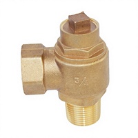 Raccord de tuyau en laiton de 3/4 pouce avec valve, embouts de tuyau en laiton