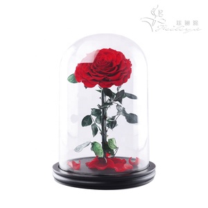 Flores de Rosa preservadas en cúpula de cristal para San Valentín, forma de corazón eterno, todo <span class=keywords><strong>amor</strong></span>, venta al por mayor - Product Image 5